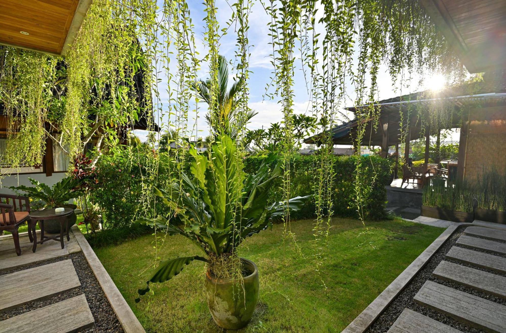 Canggu Wooden Green Paradise Chambre photo