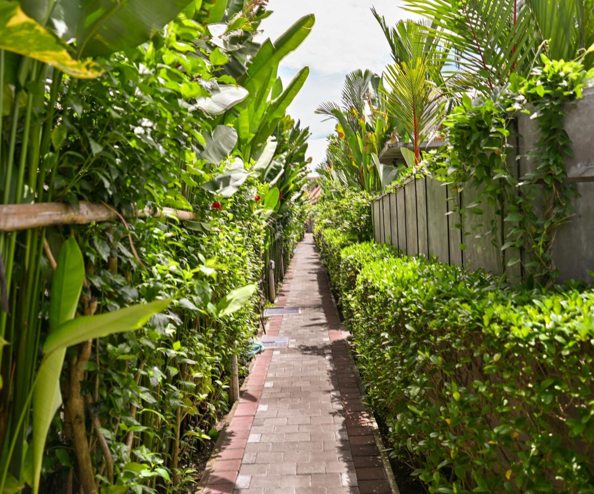 Canggu Wooden Green Paradise Extérieur photo