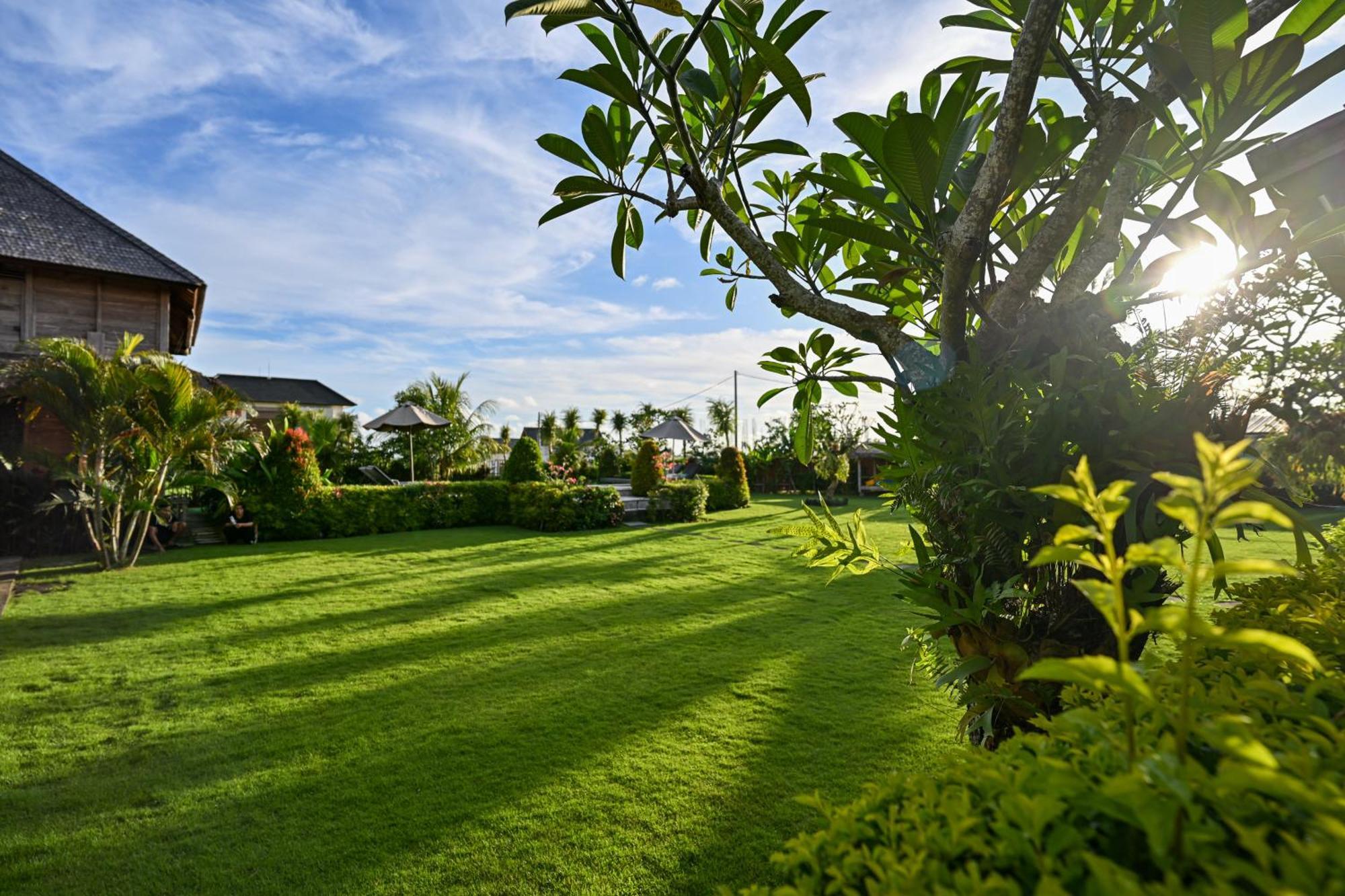 Canggu Wooden Green Paradise Extérieur photo